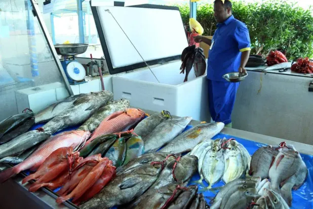 أحد العاملين في قطاع الصيد البحري (الشرق الأوسط)