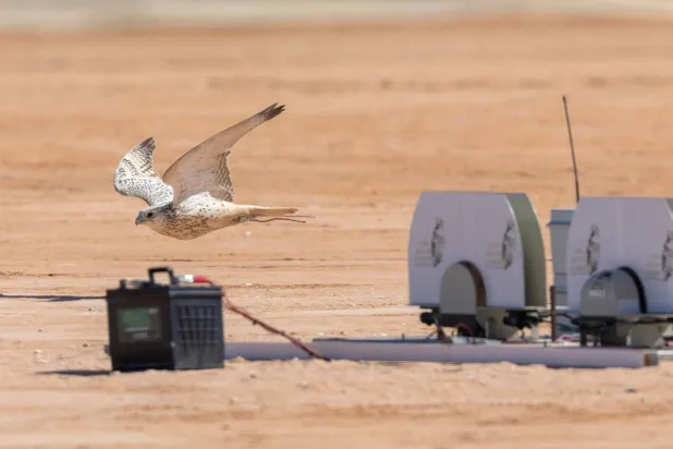 تحكيم المسابقة يستخد نظام الليزر الرئيس ونظام الكاميرات الاحتياطي (واس)