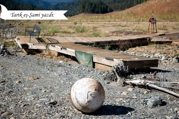 3 bin yıllık ormanların zamanla yok olması bekleniyor ki bu, birçok felaketin daha hızlı gerçeklemesi demek / Fotoğraf: AFP