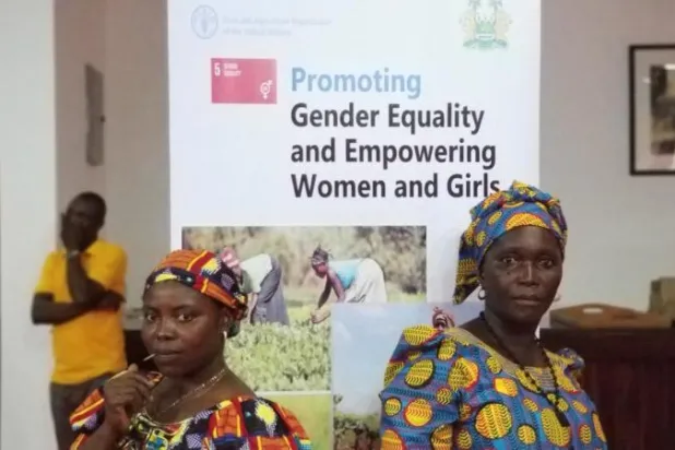 إحدى ورش التدريب الأممية للنساء في سيراليون (منظمة الأغذية والزراعة للأمم المتحدة)