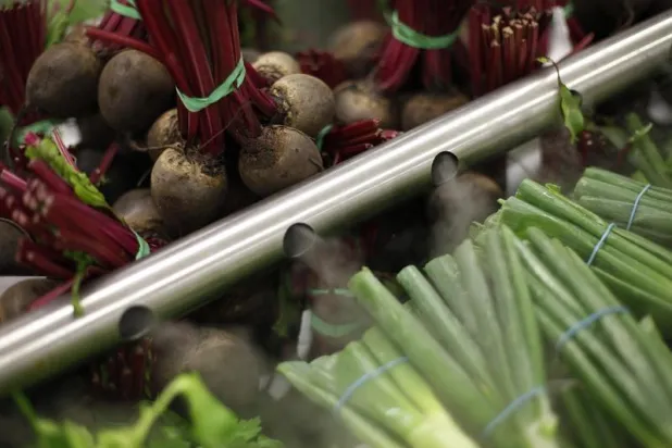 النترات الغذائية الموجودة في عصير الشمندر تزيد من قوة العضلات (رويترز)