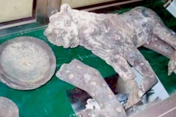 قطع أثرية يمنية كانت معروضة في متحف ظفار في محافظة إب (تويتر)