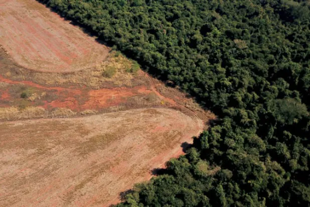 منظر جوي يظهر تضرر الغابات في نوفا زافانتينا بالبرازيل (رويترز)