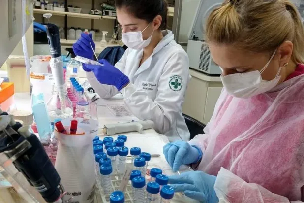 التجارب التي أجراها باحثو جامعة «ساو باولو» كشفت عن فاعلية الجلد الصناعي (كلية العلوم الصيدلانية)