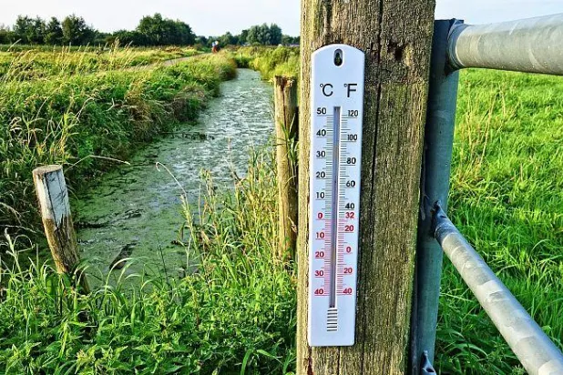 بعض الدول الأوروبية سجلت درجات حرارة في شهر يناير تحدث عادة في أواخر الربيع (Mabel Amber)