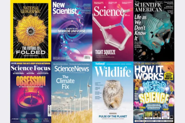 مواقد الغاز تلوّث الهواء وتزيد الإصابة بالربو