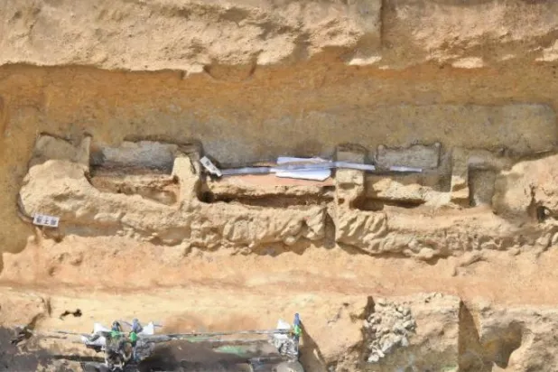 العثور على سيف أثري ضخم طوله 2.3 متر في اليابان