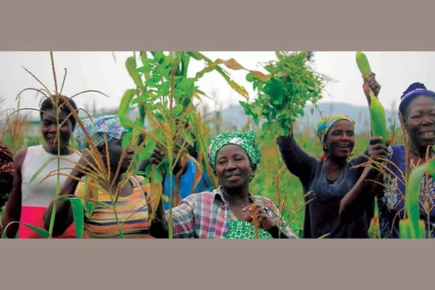 المستفيدون من مشروع توغو للأغذية الزراعية الممول بنسبة كبيرة من بنك التنمية الأفريقي (موقع بنك التنمية الأفريقي)