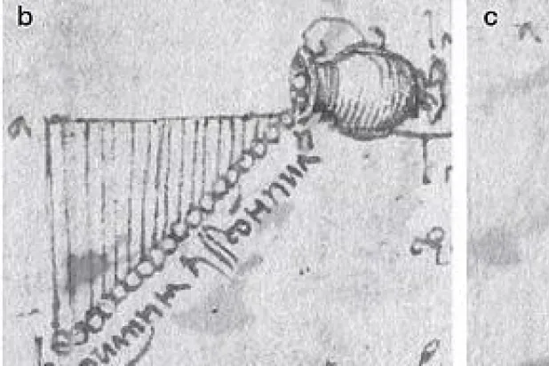 رسومات لدافنشي تشير لاكتشافه الجاذبية قبل نيوتن بقرن