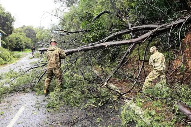 جانب من آثار إعصار غابرييل (أ.ف.ب)