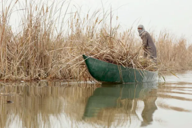 مزارع عراقي على مركبه في ذي قار بالأهوار (أ.ف.ب)
