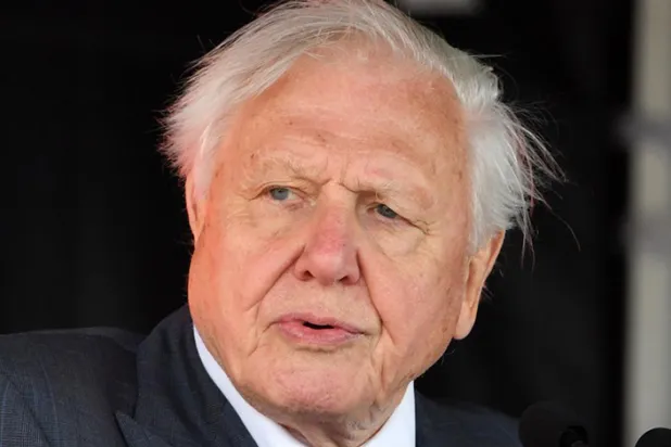 8 Mayıs 1926'da Britanya'da dünyaya gelen Attenborough, BBC'de uzun yıllar yöneticilik yaptı (AFP)