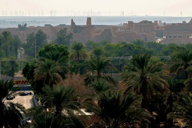 اشتهرت الدرعية بخصوبة الأرض وكثرة النخيل والأشجار والمزارع (الشرق الأوسط)