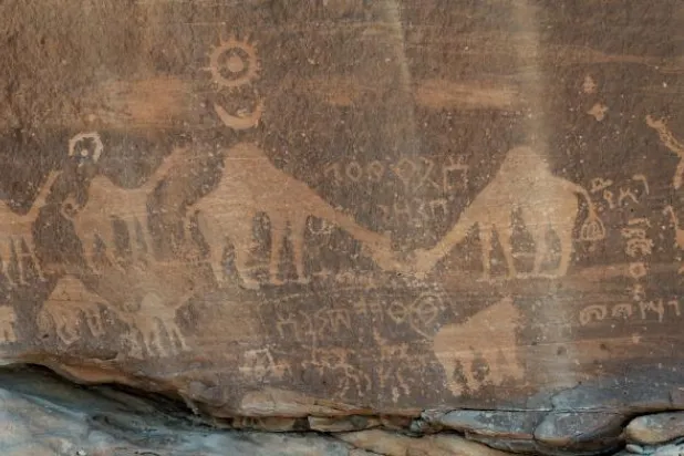 العلا ستحتضن أغلى بطولة للهجن في العالم (موقع الهيئة الملكية لمحافظة العلا)