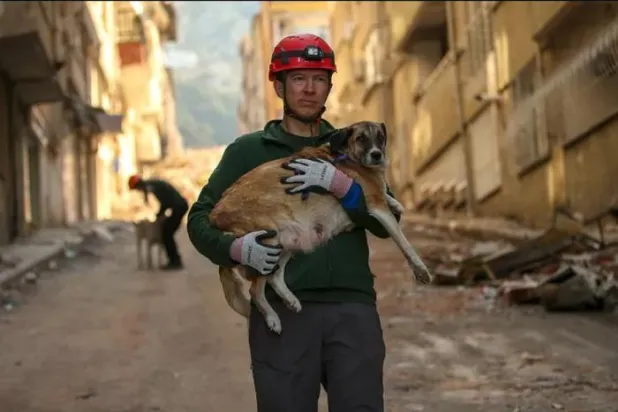 فرق الإغاثة نجحت في إنقاذ عشرات الحيوانات (جمعية الرفق بالحيوان الدولية)