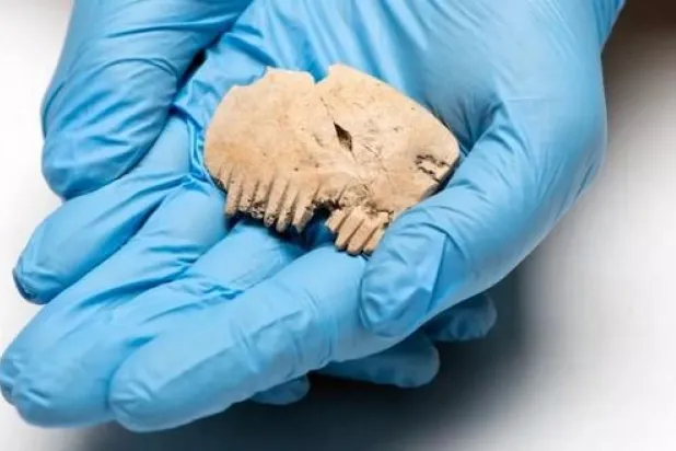 العثور على مشط مصنوع من جمجمة بشرية يعود للعصر الحديدي