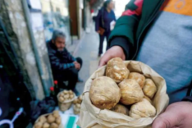 فطر الكمأة يُباع في دمشق يوم الأربعاء (أ.ف.ب)