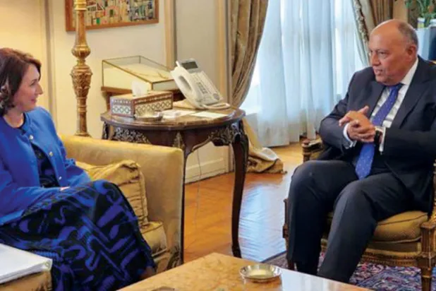 وزير الخارجية المصري خلال لقائه بالقاهرة رئيسة المجلس التنفيذي لليونسكو (وزارة الخارجية)