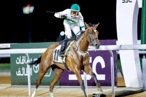 كأس المؤسس: احتفالات بـ«يوم العَلَم»... و26 جواداً في صراع للفوز بـ«تاج البطولات»