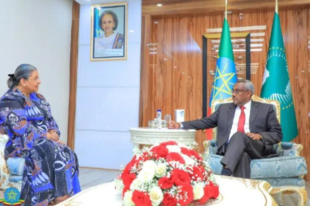 إثيوبيا لإعادة دمج مقاتلي تيغراي بعد أشهر من انتهاء الحرب