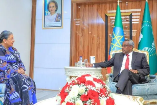 Etiyopya, savaş bittikten aylar sonra Tigray milislerini yeniden entegre edecek