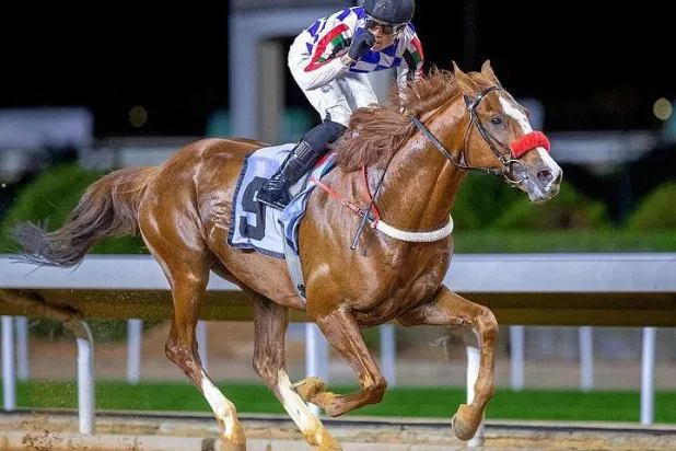 الجواد «درّة المغترّة» يظفر بكأس ميدان الملك عبد العزيز