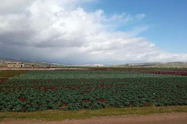 العاصفة المطرية في شمال غربي سوريا نعمة للسكان الأصليين ونقمة على النازحين