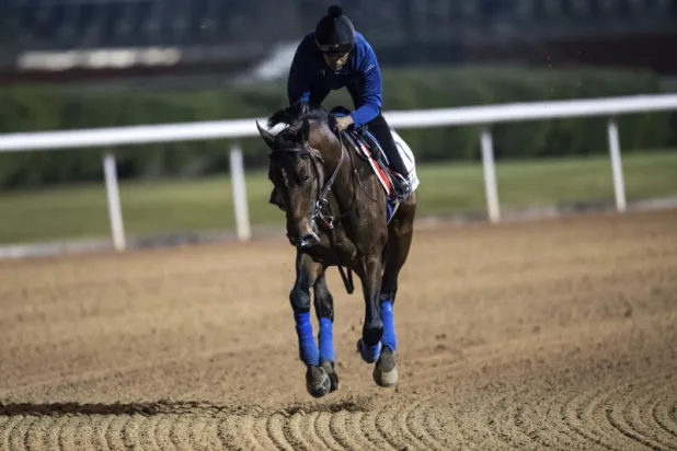 «كأس دبي العالمية»: الجواد السعودي «كونتري غرامر» يتطلع للسير على خطى «ثاندر سنو»