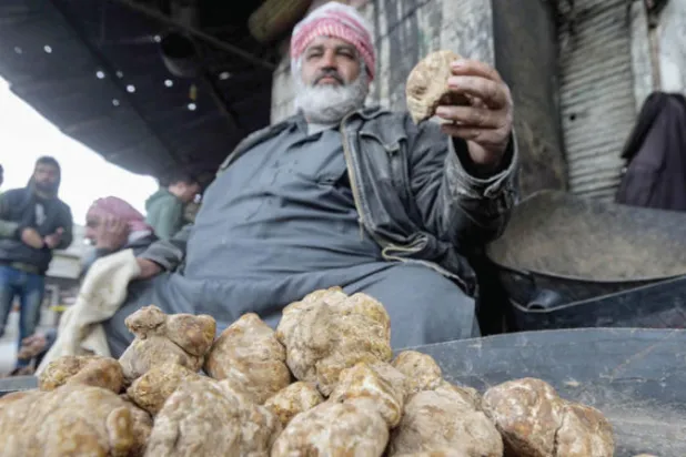 دمشق تعلن قتل 11 من «تحرير الشام» غرب حلب