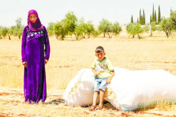 التكامل الاقتصادي أمام وزراء زراعة سوريا ولبنان والعراق والأردن