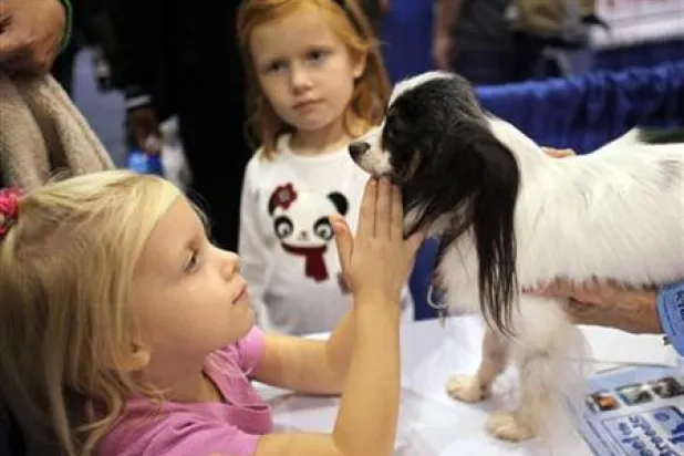 القطط والكلاب قد تحمي الأطفال من حساسية الطعام