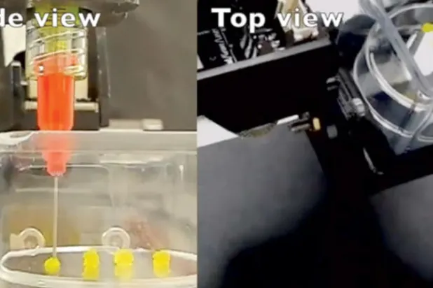 طابعة حيوية جديدة لاختبار علاج السرطان