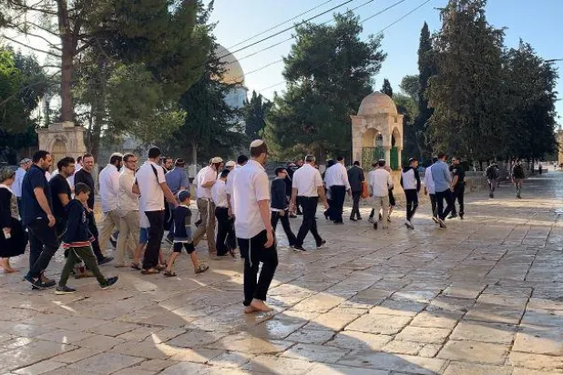 مستوطنون يقتحمون «الأقصى» والقوات الإسرائيلية تخرج المعتكفين منه