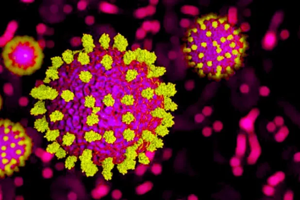 تطوير نظام إنذار وراثي لكبح الأوبئة المستقبلية