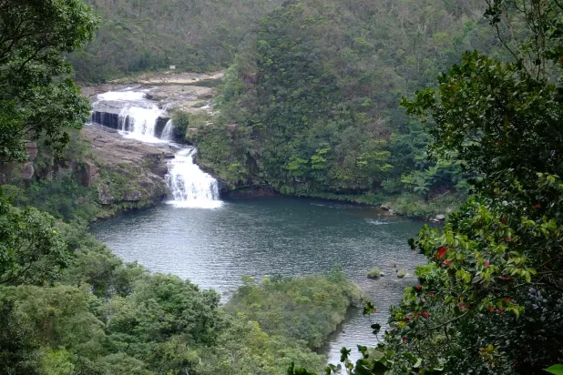 Japon adası aşırı turizmi engellemek için ziyaretçi kotası getirdi
