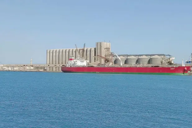 لماذا تراهن روسيا على مصر كمركز أفريقي للحبوب؟