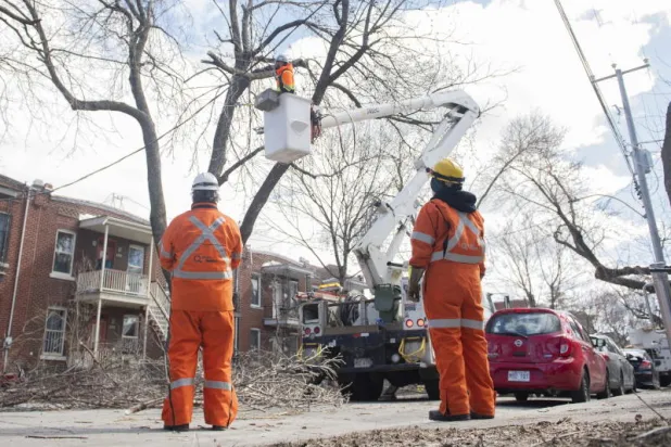 مئات آلاف المنازل بلا كهرباء في شرق كندا بسبب العاصفة الجليدية