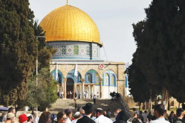 یہودی کل سیکیورٹی فورسز کی حفاظت میں مسجد اقصیٰ کے احاطے میں جاتے ہوئے (اے ایف پی)