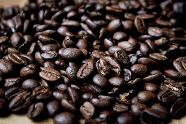 استهلاك القهوة في ألمانيا إلى مستوى قياسي جديد