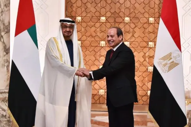 قمة مصرية - إماراتية تبحث ترسيخ الاستقرار بالمنطقة