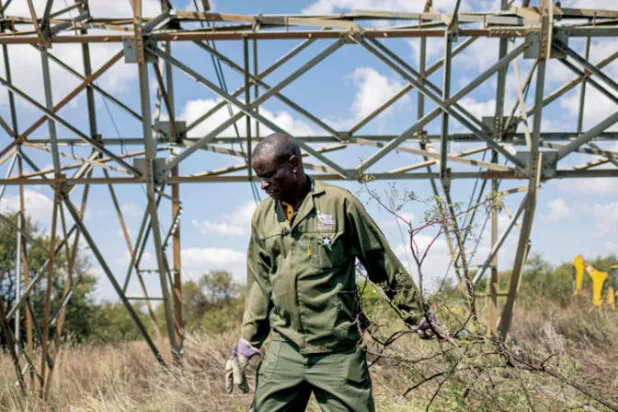 الدول الأفريقية ترى صعوبة في مكافحة تغير المناخ بلا تنمية