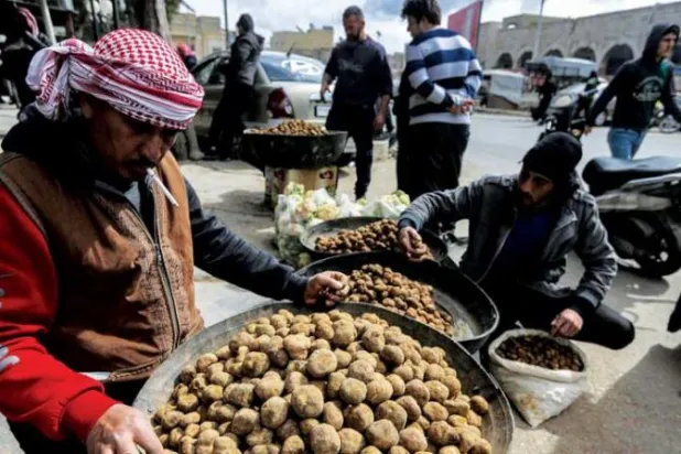 مقتل 35 شخصاً بهجومين على رعاة وجامعي الكمأة  في سوريا