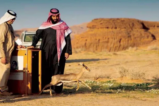 Six Years into Saudi Crown Prince’s Journey…Development, Power on the Int’l Map