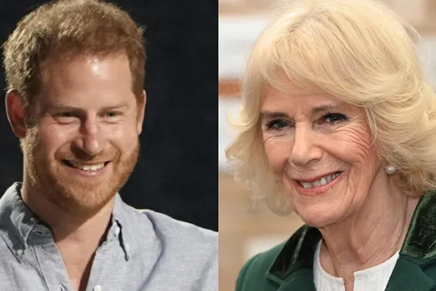 Prens Harry'nin kitabında "kötü karakter" olmak, Kraliçe Camilla'yı incitmiş