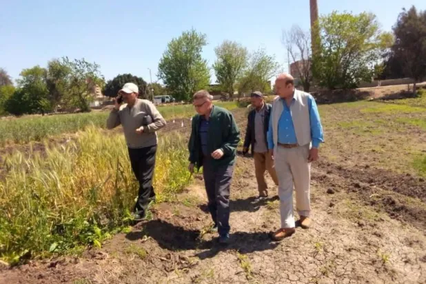 مصر: هل تساهم الصادرات الزراعية في الحد من تبعات الأزمة الاقتصادية؟