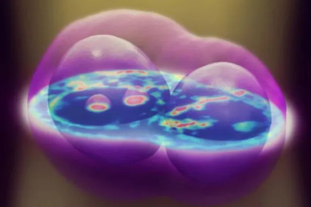 باحثون: «الكومارين الزرقاء» قد تساعدنا على رؤية الخلايا من الداخل