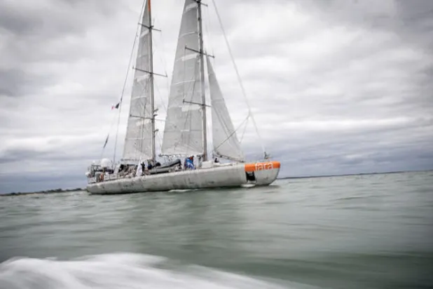 اكتشاف فيروسات غامضة منتشرة في المحيطات