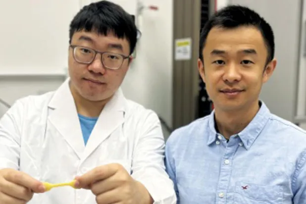 ابتكار جِل مائي لمحاكاة وظيفة أوتار الجسم