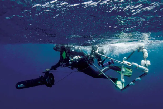 العلماء قلقون من ارتفاع  درجة حرارة المحيط