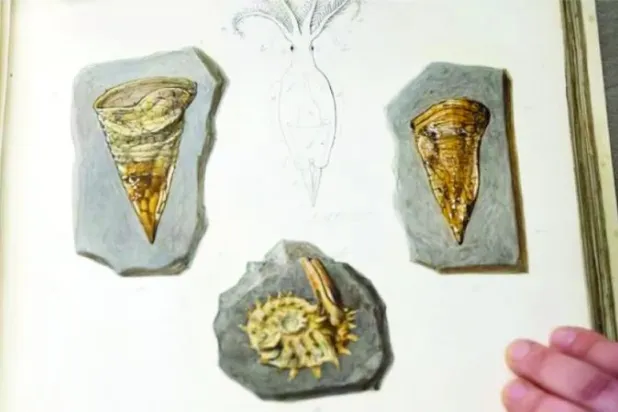 أربعة أشياء «مذهلة» صنعت تاريخ العلوم